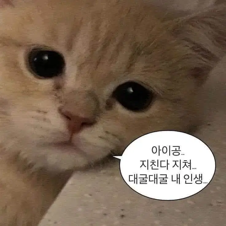 거래용